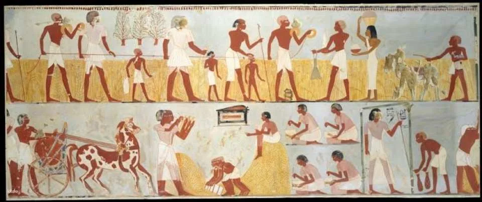 Kings Valley, Nobles, Felucca, Luxor and Habu Temples from Marsa Alam