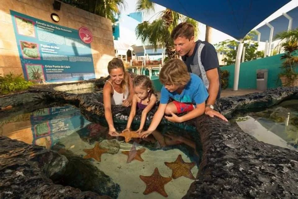 Go City | Cancun  All-Inclusive Pass