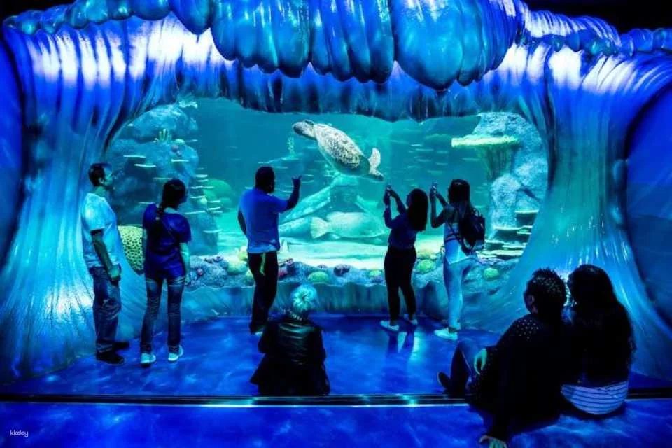 Sea Life Sydney Aquarium Tickets
