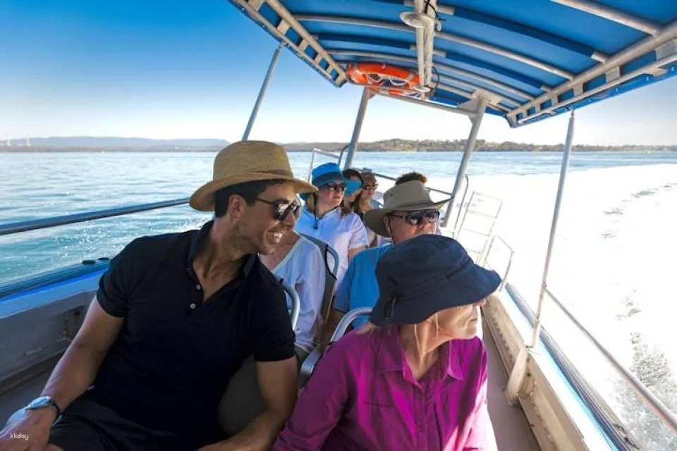 Whale discovery tour