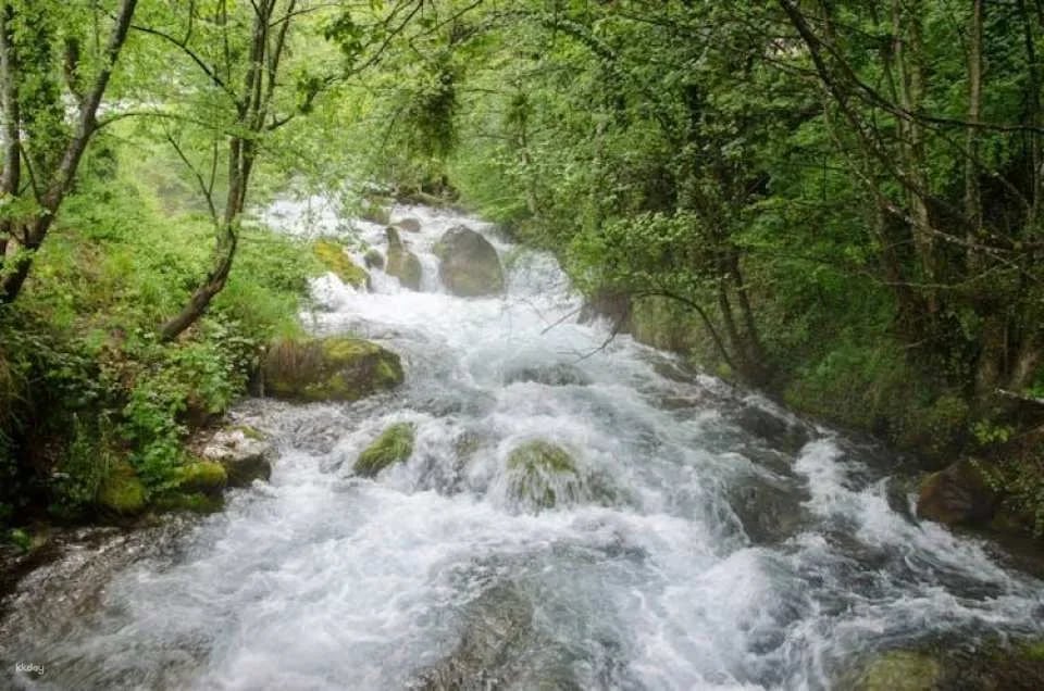 Kalishta, Struga and Vevchani guided tour from Ohrid