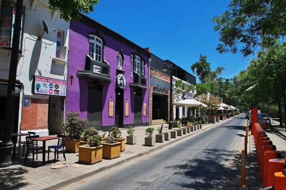 Guided tour of Santiago with Bellavista, San Cristóbal and cable car