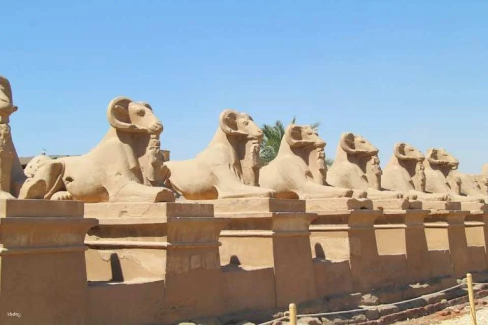 Full-day East and West Bank tour with lunch from Luxor