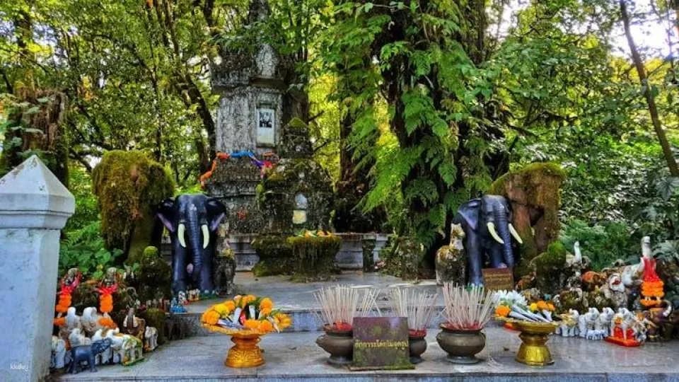 Doi Inthanon National Park small group guided tour