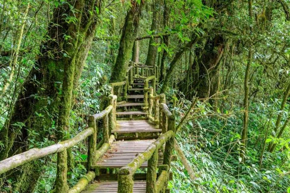 Doi Inthanon National Park small group guided tour