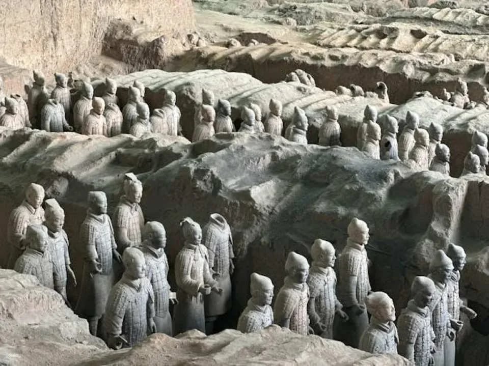 2-hour Terra-cotta Warriors and Horses Museum private guided tour