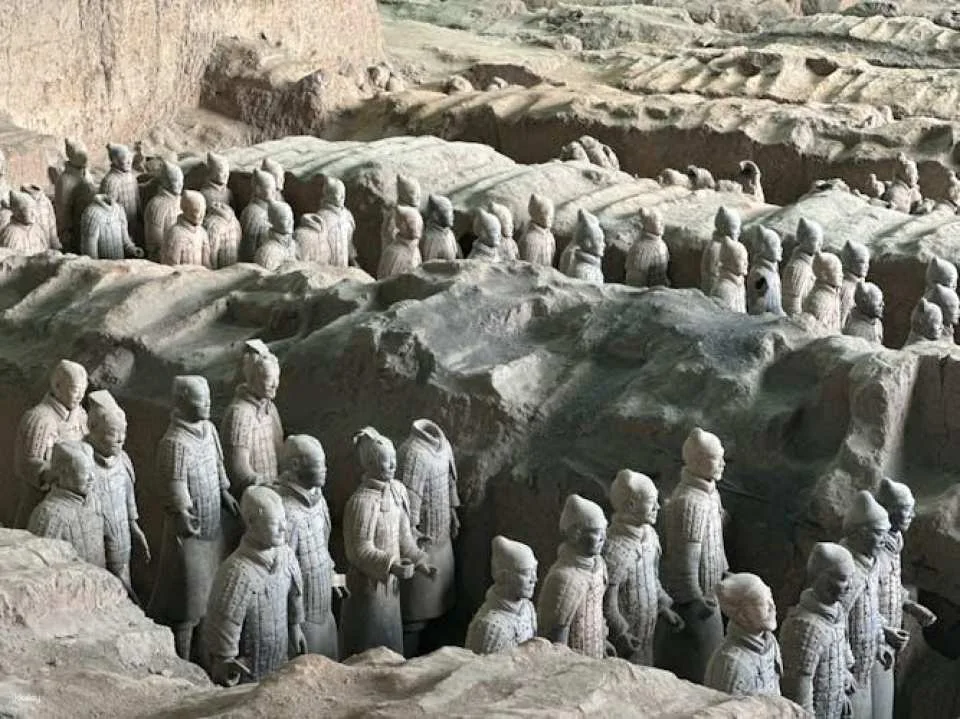 2-hour Terra-cotta Warriors and Horses Museum private guided tour