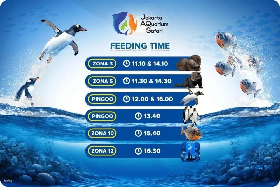 Jakarta Aquarium Safari Ticket | Jakarta, Indonesia