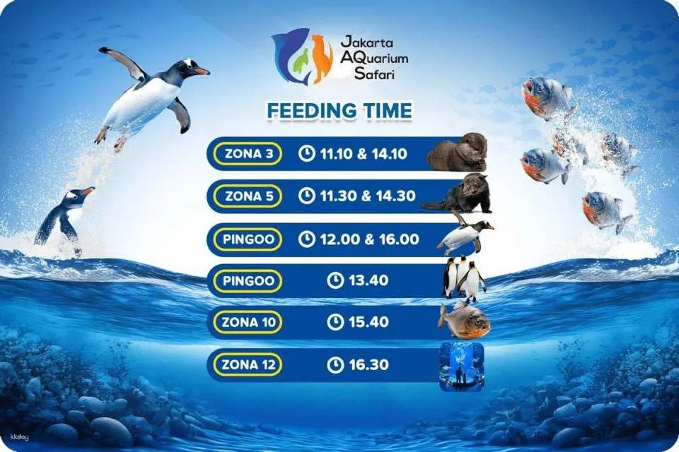 Jakarta Aquarium Safari Ticket | Jakarta, Indonesia