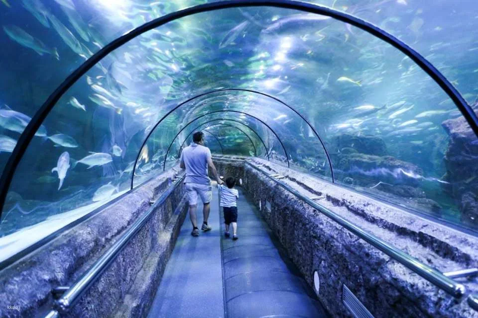 Jakarta Aquarium Safari Ticket | Jakarta, Indonesia