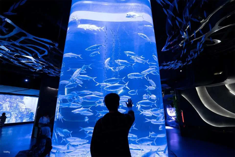 Jakarta Aquarium Safari Ticket | Jakarta, Indonesia