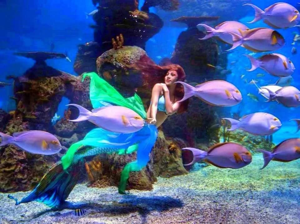 Jakarta Aquarium Safari Ticket | Jakarta, Indonesia