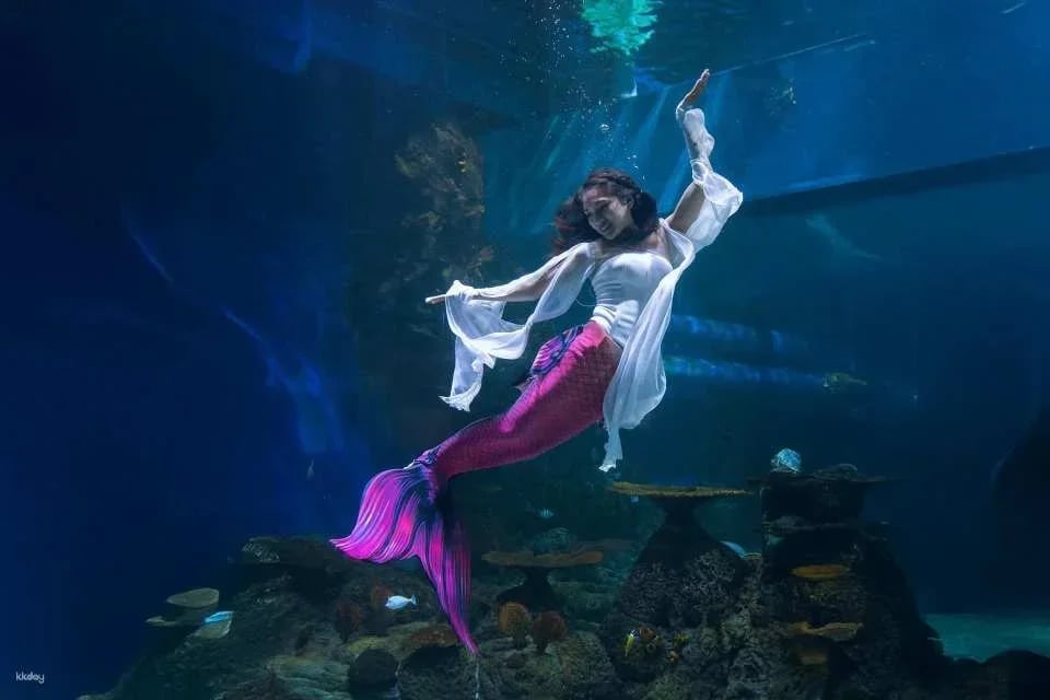 Jakarta Aquarium Safari Ticket | Jakarta, Indonesia
