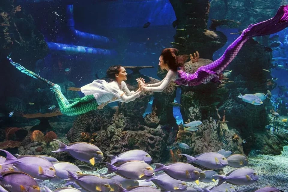 Jakarta Aquarium Safari Ticket | Jakarta, Indonesia