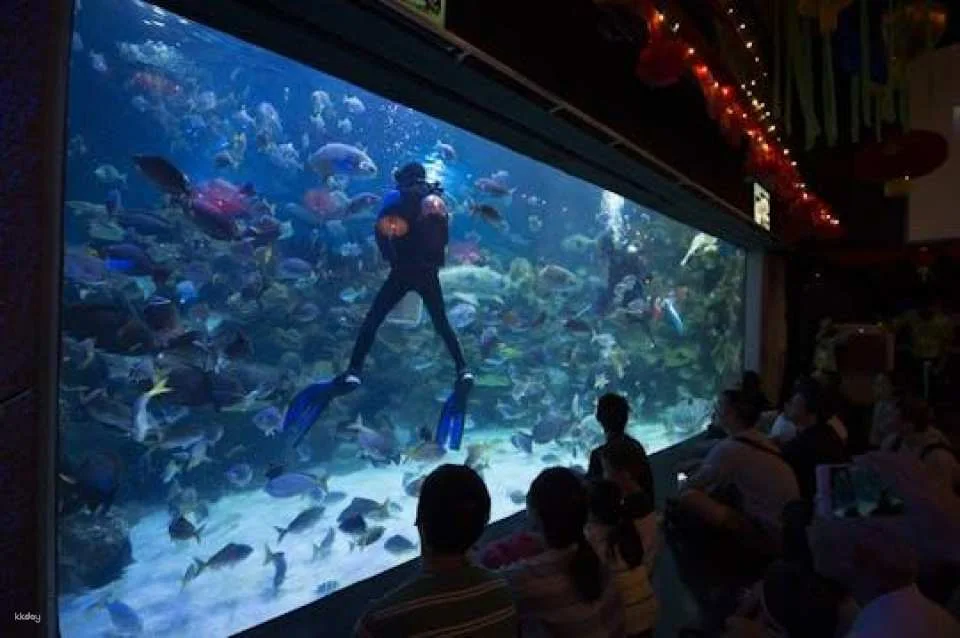 Aquaria KLCC Kuala Lumpur entrance ticket