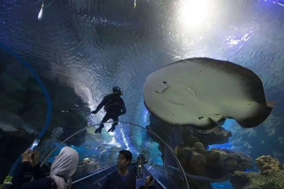Aquaria KLCC Kuala Lumpur entrance ticket