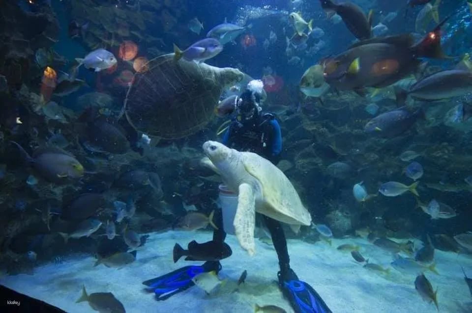 Aquaria KLCC Kuala Lumpur entrance ticket
