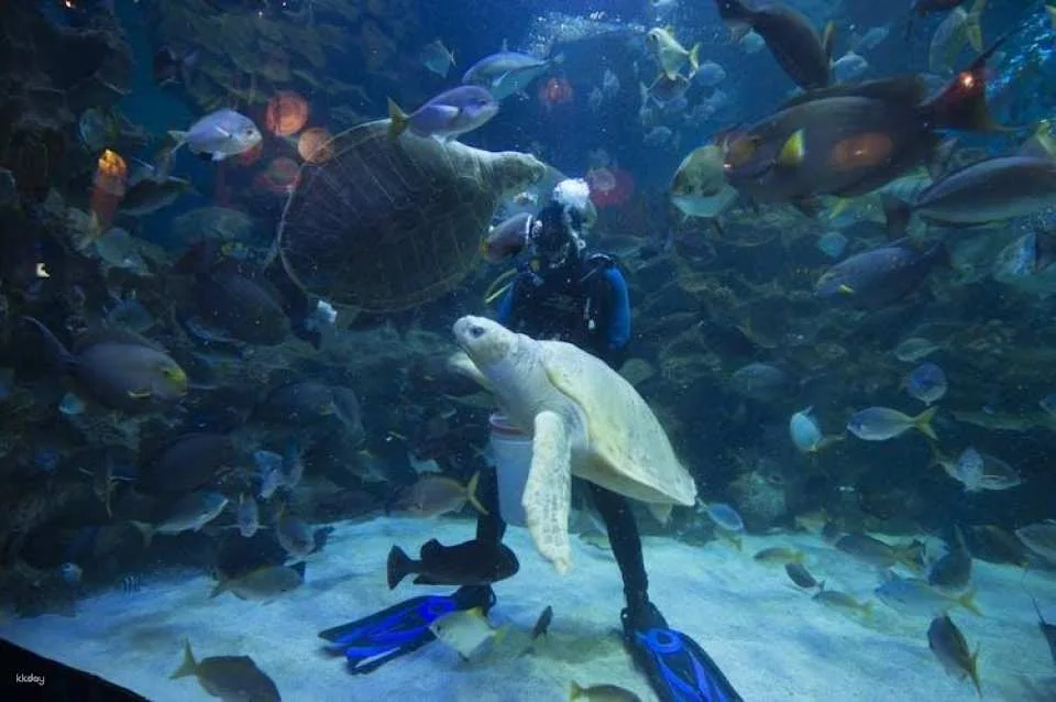 Aquaria KLCC Kuala Lumpur entrance ticket
