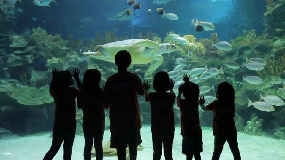 Aquaria KLCC Kuala Lumpur entrance ticket