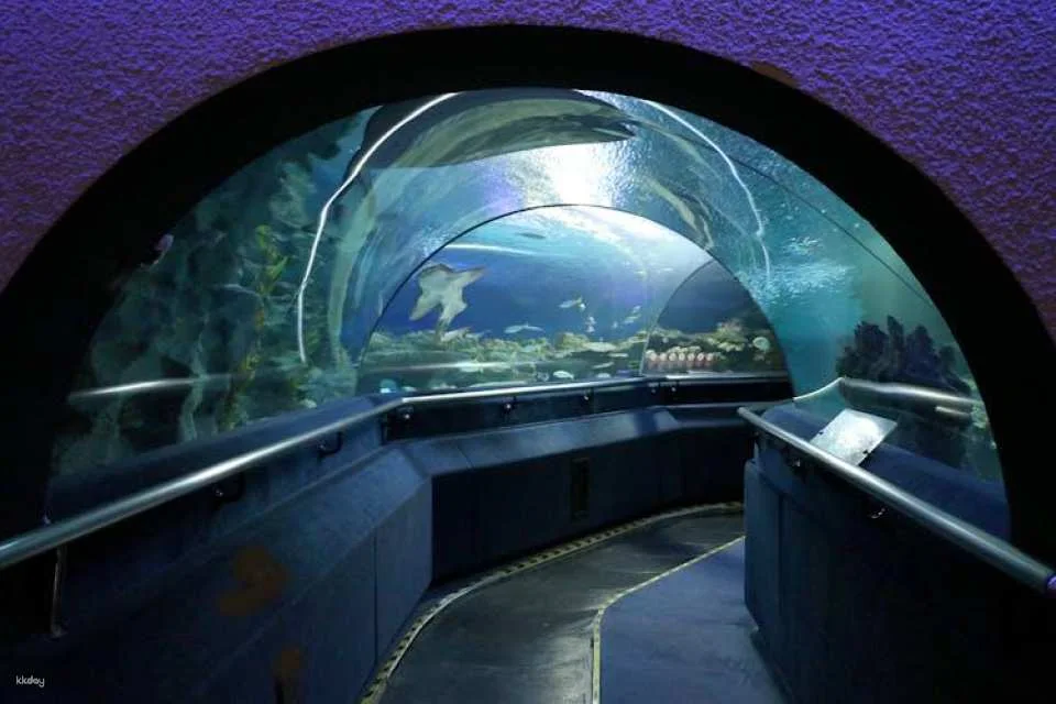 Aquaria KLCC Kuala Lumpur entrance ticket