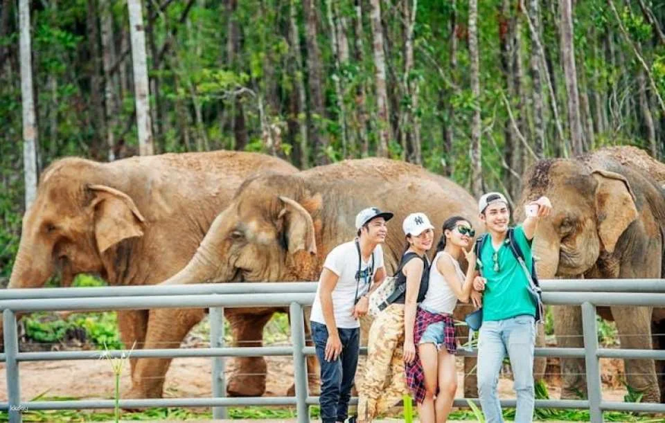 Entry to Vietnam's semi-wildlife park with safari experience
