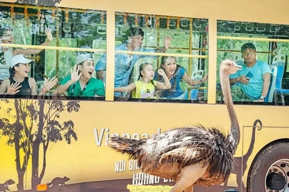 Entry to Vietnam's semi-wildlife park with safari experience