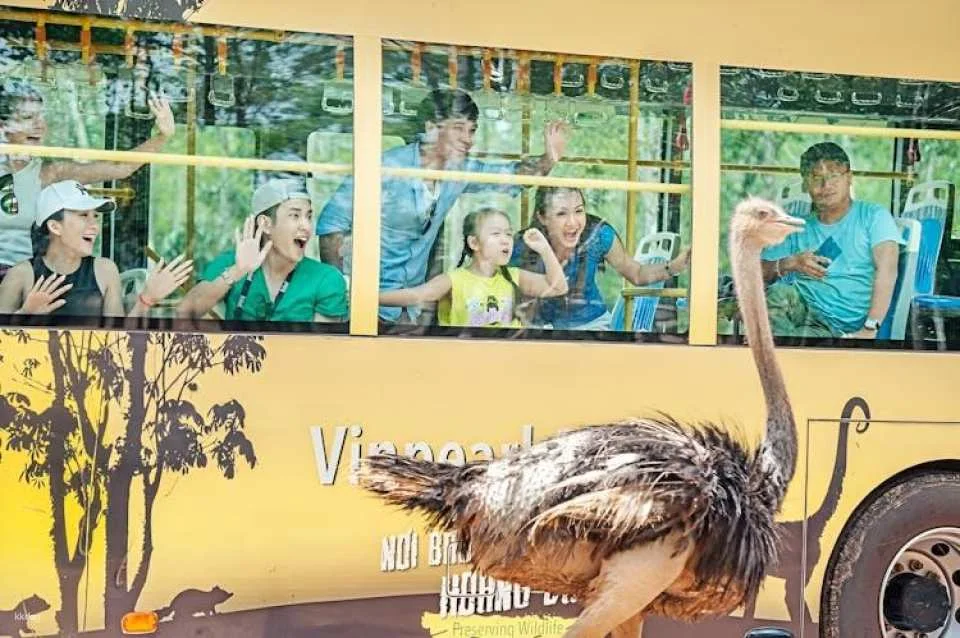 Entry to Vietnam's semi-wildlife park with safari experience