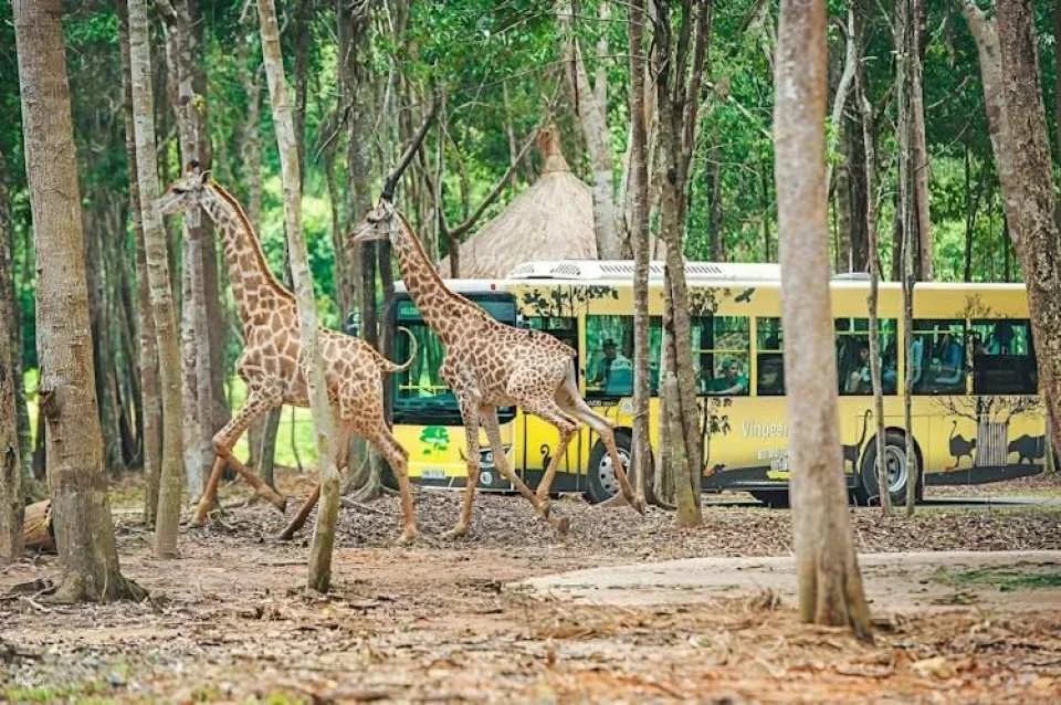 Entry to Vietnam's semi-wildlife park with safari experience