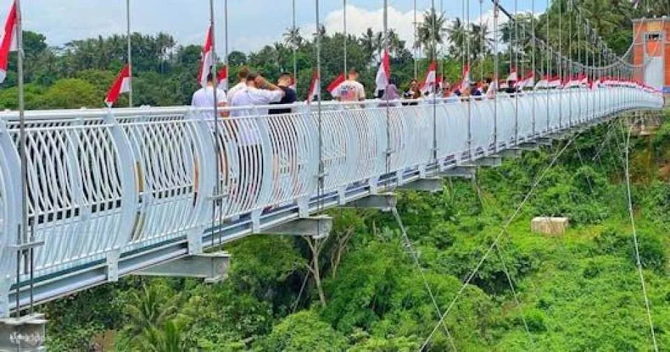 Bali Glass Bridge experience tickets (618207)