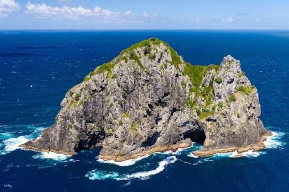 Small group day tour to Bay of Islands from Auckland