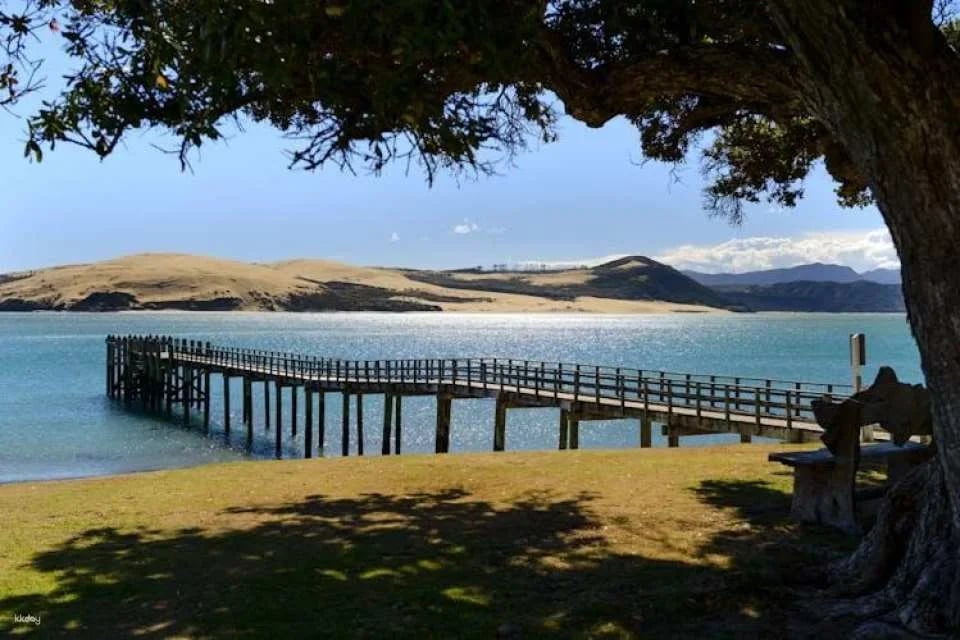Small group day tour to Bay of Islands from Auckland