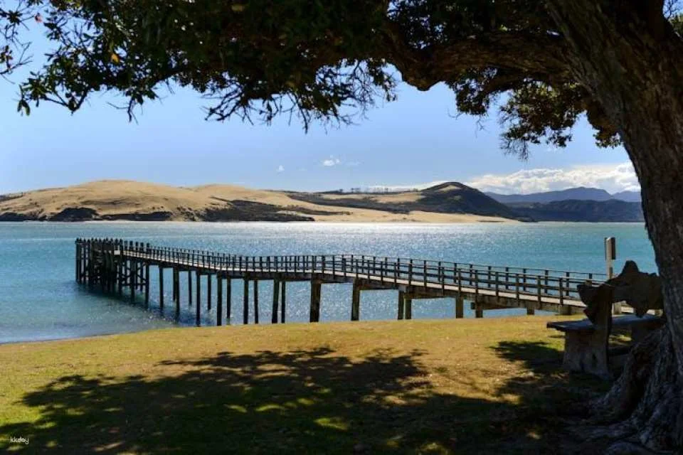 Small group day tour to Bay of Islands from Auckland