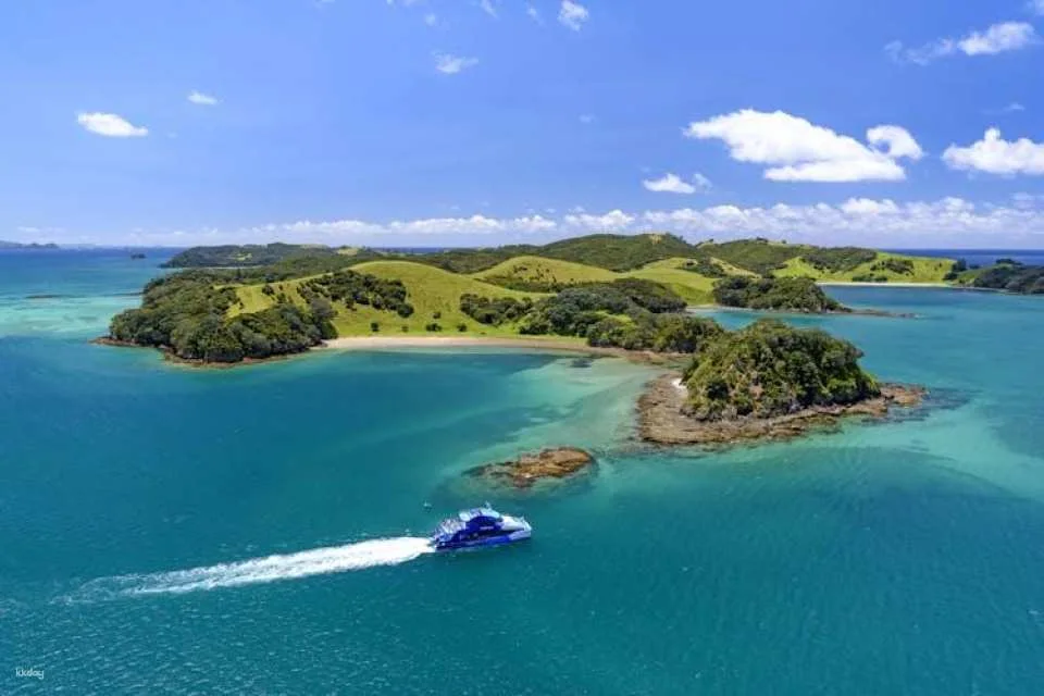 Small group day tour to Bay of Islands from Auckland