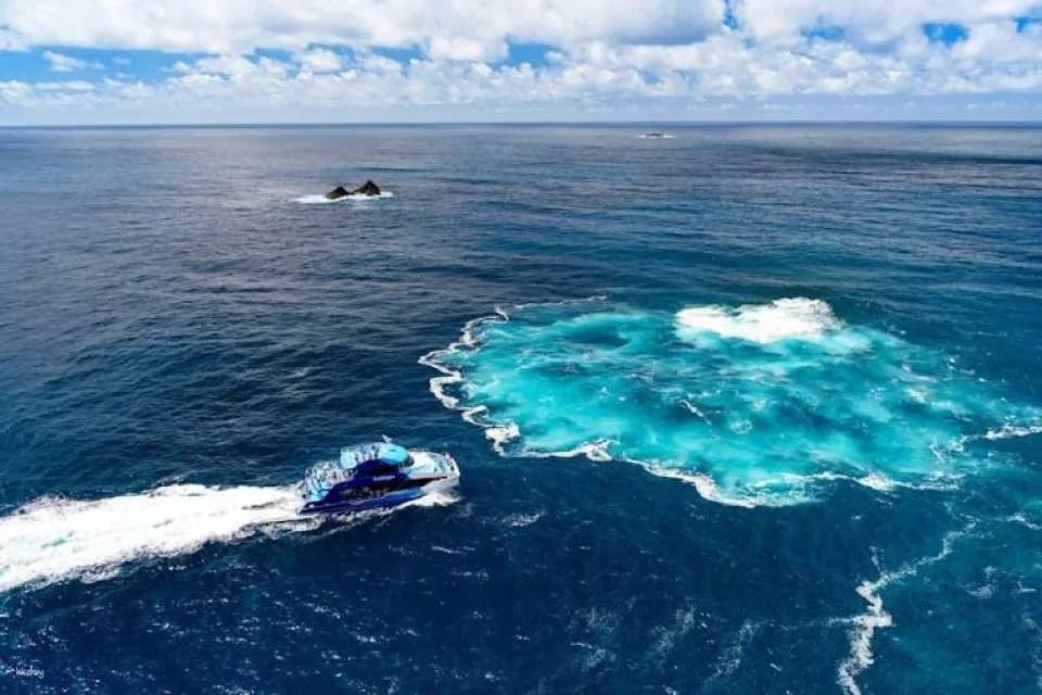 Small group day tour to Bay of Islands from Auckland