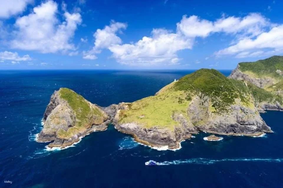 Small group day tour to Bay of Islands from Auckland