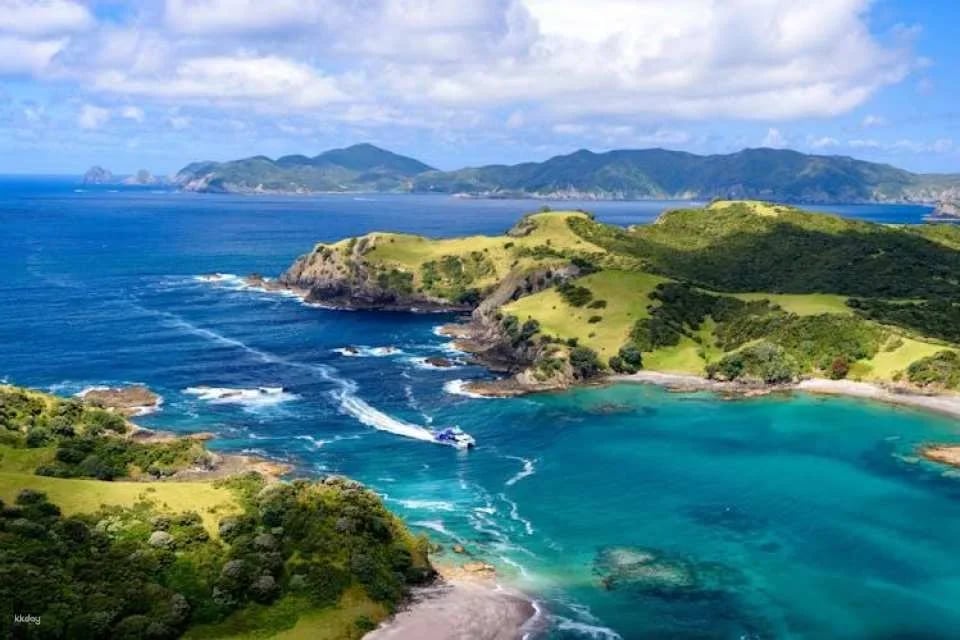 Small group day tour to Bay of Islands from Auckland