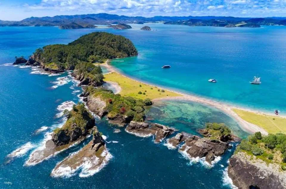 Small group day tour to Bay of Islands from Auckland