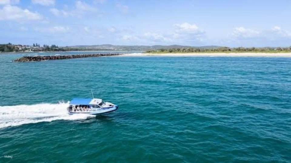 Ocean explorer tour