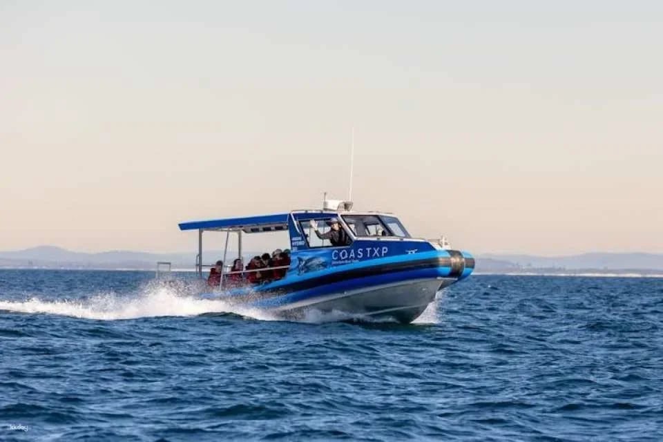 Ocean explorer tour