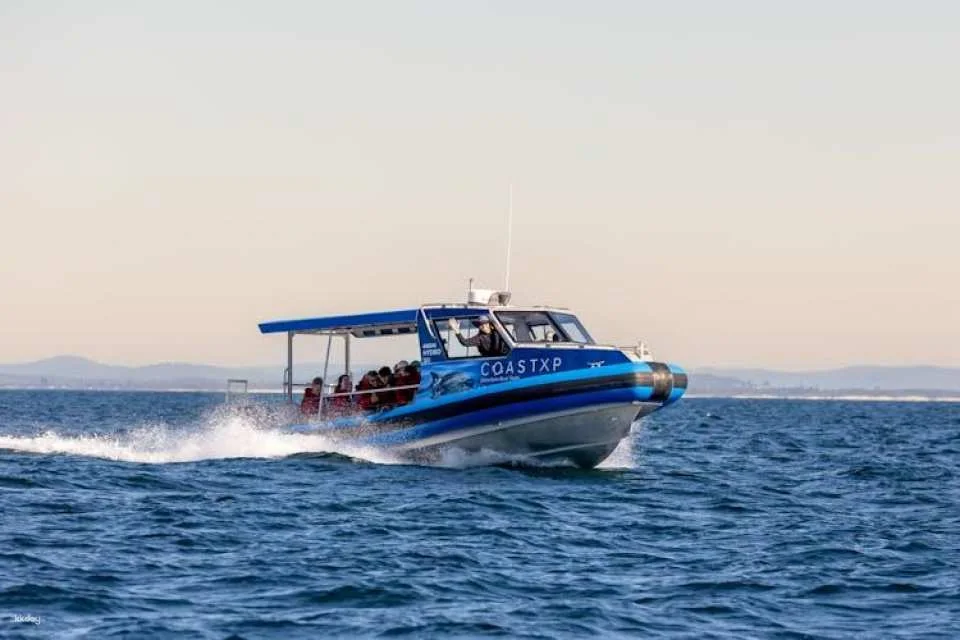 Ocean explorer tour