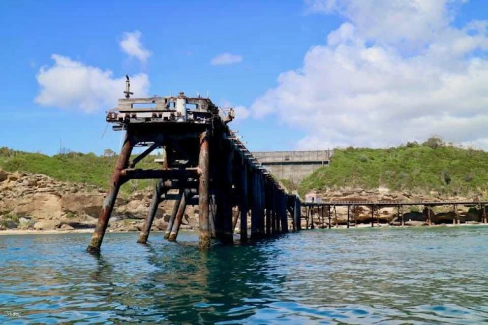 Ocean explorer tour