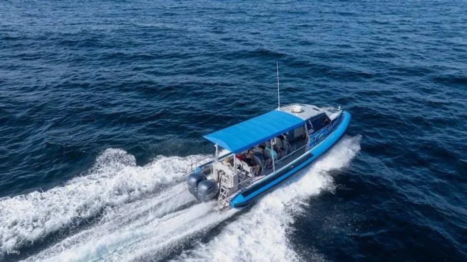 Ocean explorer tour