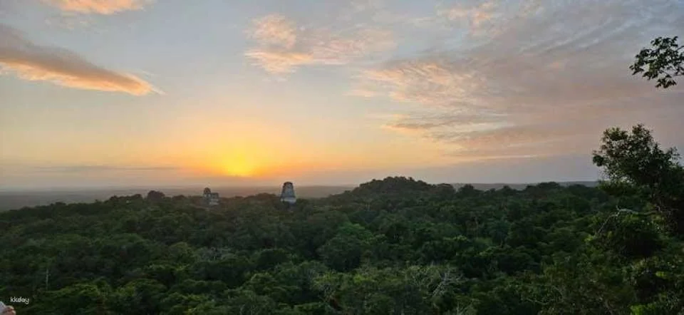 Private guided tour of the ancient Maya state of Tikal