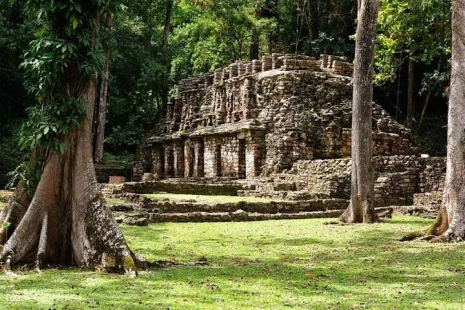 Maya Ruins Full-Day Tour to Bonampak and Yaxchilan