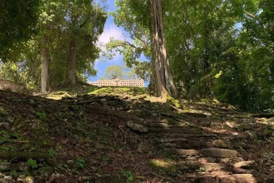 Maya Ruins Full-Day Tour to Bonampak and Yaxchilan