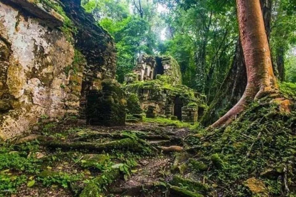 Maya Ruins Full-Day Tour to Bonampak and Yaxchilan