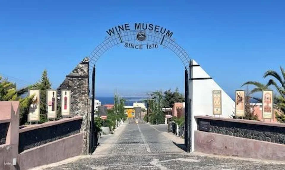 Santorini half-day family tour with wine museum visit (618397)