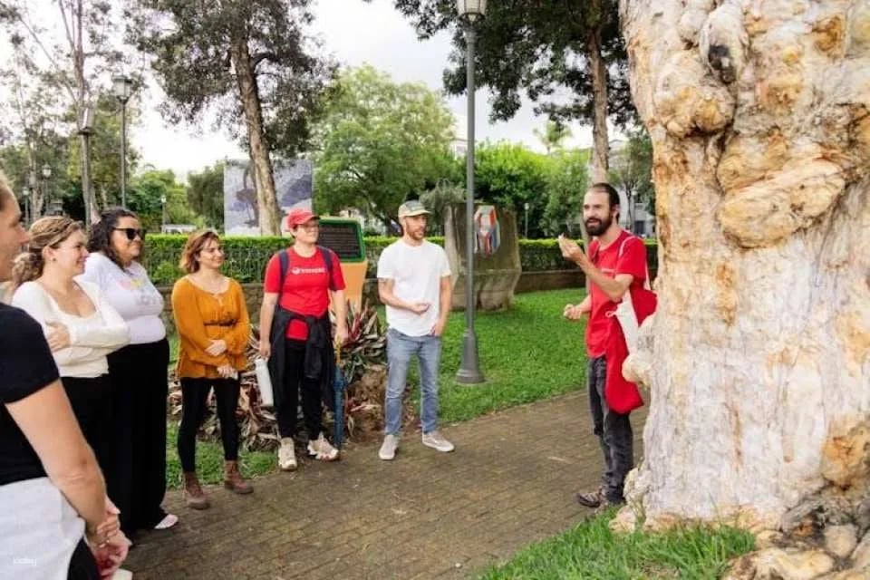 San Jose food and culture evening guided tour