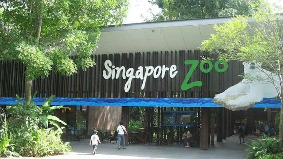Singapore audio guide with TravelMate app