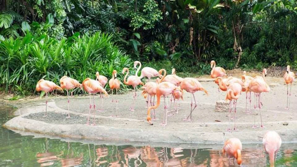 Singapore audio guide with TravelMate app